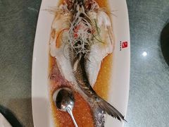 清蒸白水鱼-道道鲜·崇明私房菜(五角场店)