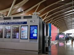 -上海浦东国际机场-T2航站楼