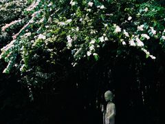 -鹿野苑石刻艺术博物馆