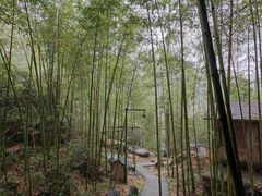 -山沟沟景区
