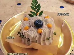 -野草莓自由市场