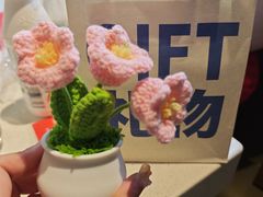 -海底捞火锅(劲松店)