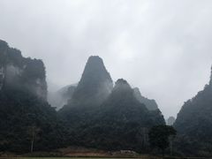 -明仕田园