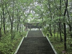 -武侯墓风景区