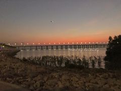 -宝安西湾红树林湿地公园