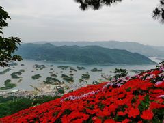 -仙岛湖旅游风景区