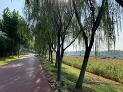 -滨湖塘西河公园