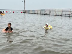 -碧海金沙