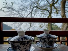 -南山植物园