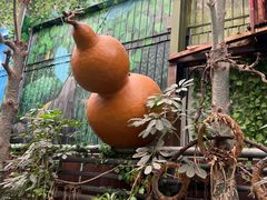 -呀路古热带植物园