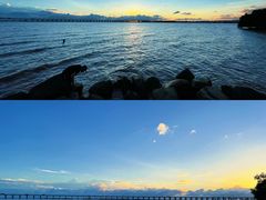 -宝安西湾红树林湿地公园