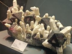 -湖南省地质博物馆