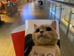 -海底捞火锅(航洋城店)