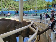 -大连森林动物园