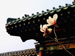 -迎泽公园