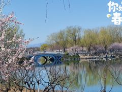 -大兴滨河森林公园