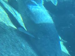 -亚龙湾海底世界