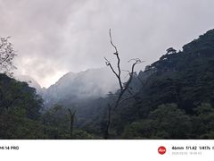 -泰山风景名胜区