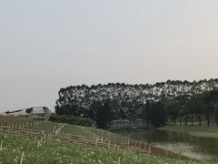 -迪茵湖田家舍生态农场
