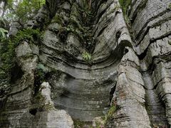 -梭布垭石林景区