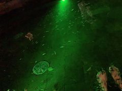 -杭州第一世界大酒店·云曼温泉