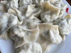 韭菜鸡蛋水饺-鸿毛饺子(紫竹桥店)