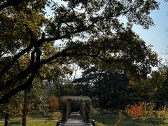 -青岛德国总督楼旧址博物馆