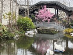 -雅达·阳羡溪山小镇中心