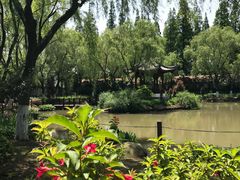 -瀛洲公园