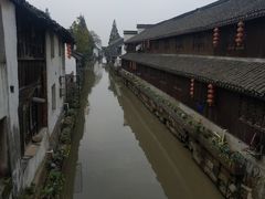 -蟹芆三馄饨