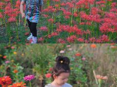 -白塘生态植物园