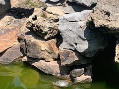 -金寨县革命博物馆