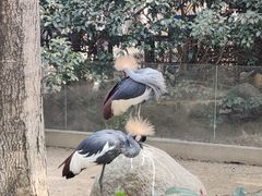 -宁波野生动物园