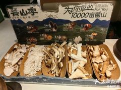 -芸山季·云南山珍菌火锅(南翔印象城MEGA店)