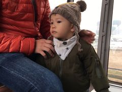 -影汇之星8字形摩天轮