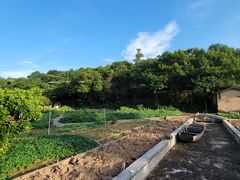 -清水湖度假村(罗浮山美食地标店)