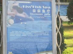 IMG_1357-三亚亚龙湾金棕榈度假酒店
