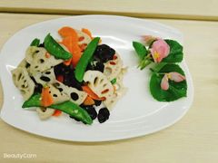 -大班家政月嫂育儿嫂(广州NO.1店)