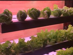 -满堂欢豆捞坊(美丽华大酒店店)