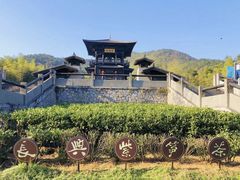 -大唐贡茶院