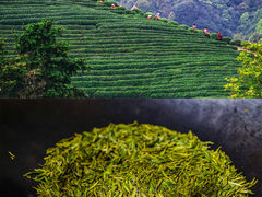-龙坞茶村