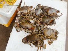 -都斛海鲜街