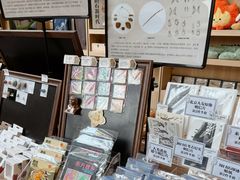 -北京周口店北京人遗址博物馆
