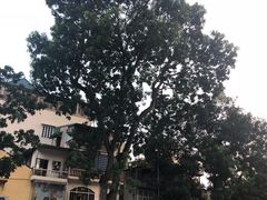 -圣约瑟夫大教堂