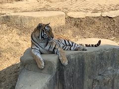 -无锡动物园·太湖欢乐园