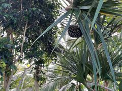 -北京植物园-展览温室