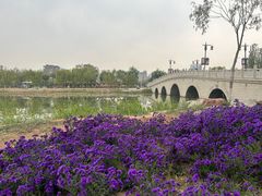 -海宝公园