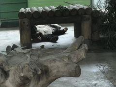 -石家庄市动物园