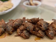 -小北江河鲜(新城店)