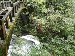 -神农架香溪源景区